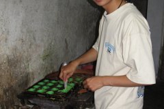 IMG_1072