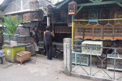 IMG_1136