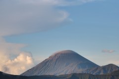 IMG_1330