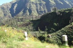 IMG_1401