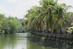 IMG_1570