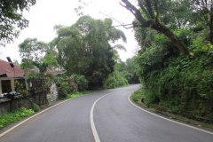 IMG_1589