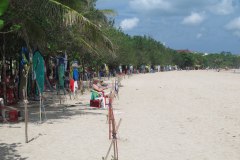 IMG_1758