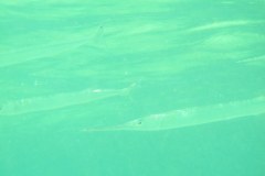 IMG_8178