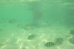 IMG_8180