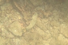 IMG_8210