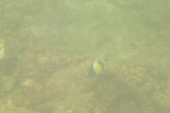 IMG_8262