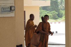 IMG_8406