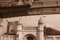 IMG_8447