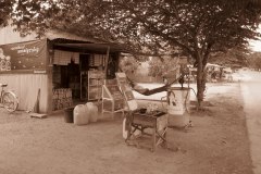 IMG_4521