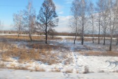 IMG_0964
