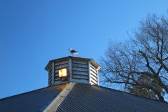 IMG_4252