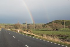 IMG_4357