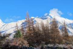 IMG_4374