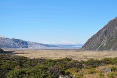 IMG_4442