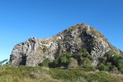 IMG_4560