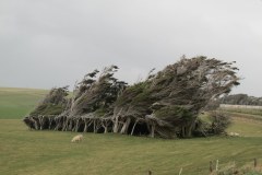 IMG_4612