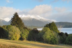 IMG_4659