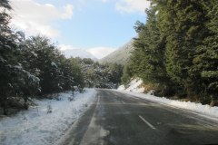 IMG_4690