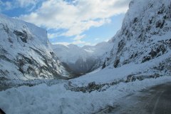 IMG_4725