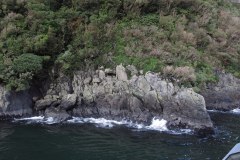 IMG_4841
