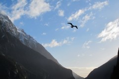 IMG_4855