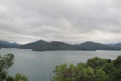IMG_5054