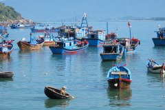 IMG_4249