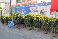 IMG_4272
