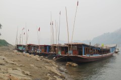 IMG_6942