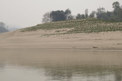 IMG_6971