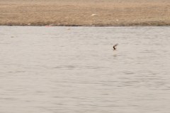 IMG_7067