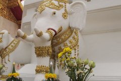 IMG_7103