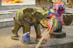 IMG_7121