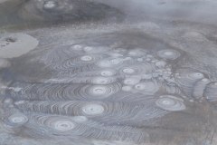 IMG_5377