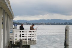 IMG_5489