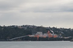 IMG_5491