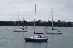IMG_5508