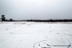 IMG_1231