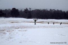 IMG_1232