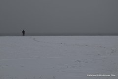 IMG_1233
