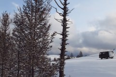 IMG_1315