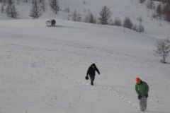 IMG_1330
