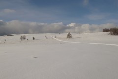 IMG_1347