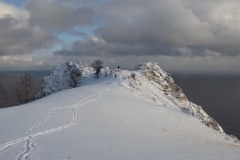 IMG_1359
