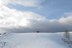 IMG_1364