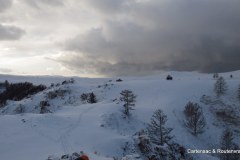 IMG_1383