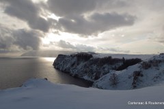 IMG_1398