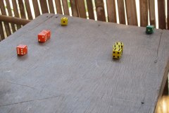 IMG_5101