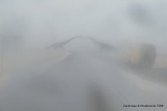 IMG_2175